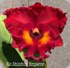 Rlc. Shinfong Emperor